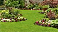 Landscape Solutions Landscape  Solutions