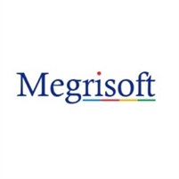  Megrisoft Limited